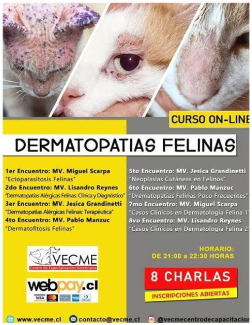 veterinario-lisandro-agustin-reynes